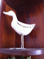 /album/fotogaleria/la-foto-3-jpg/